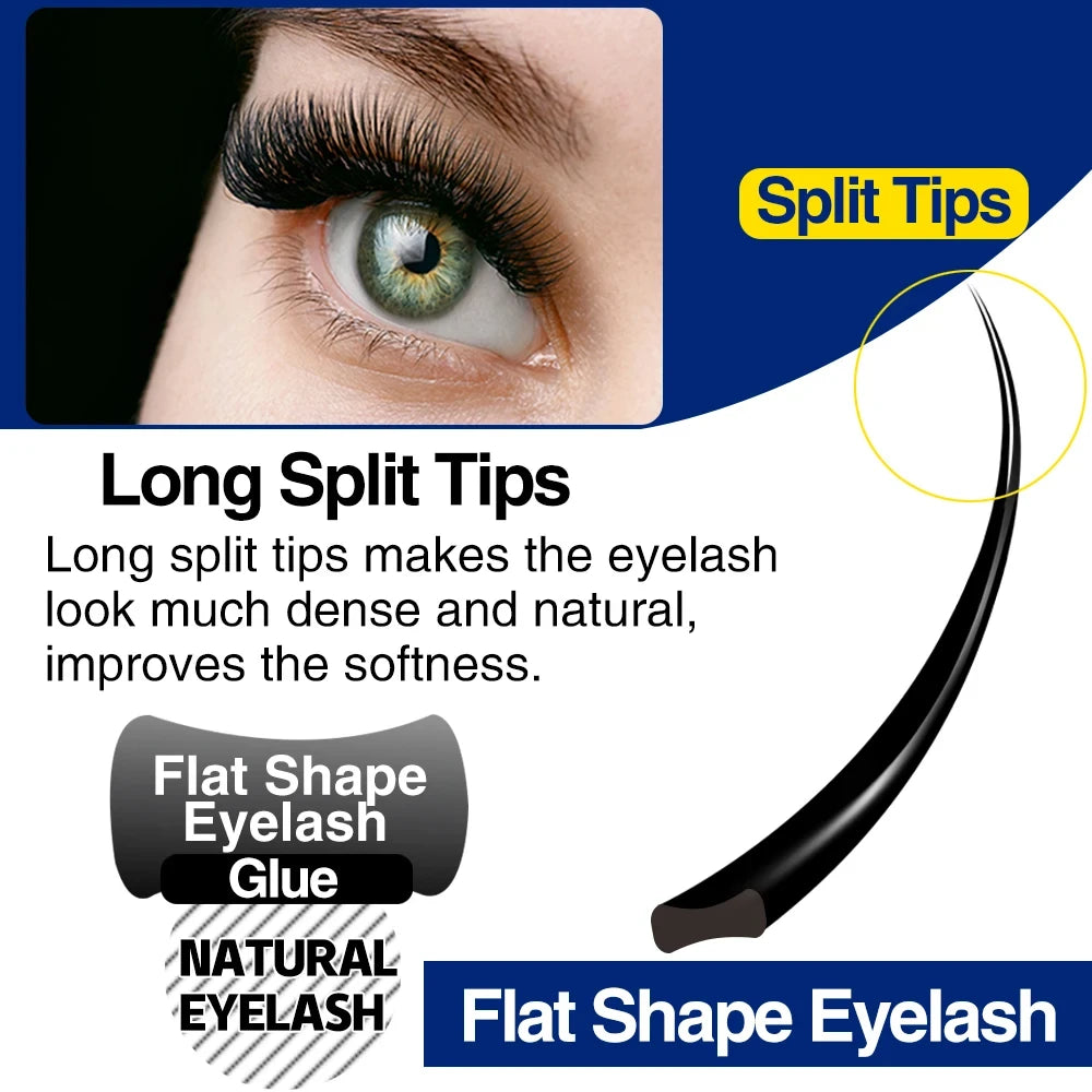 Lashonly Ellipse Flat Eyelash Extensions
